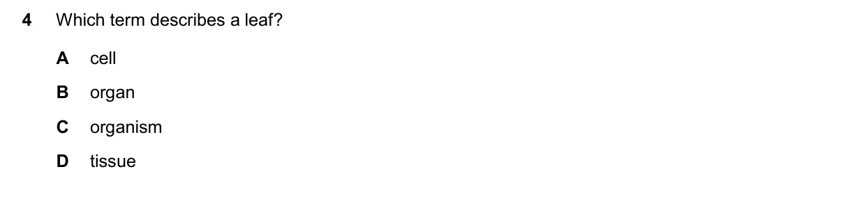 Question 4, November 2025, 0610 Paper 12