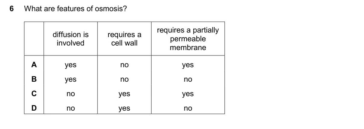 Question 6, November 2025, 0610 Paper 12
