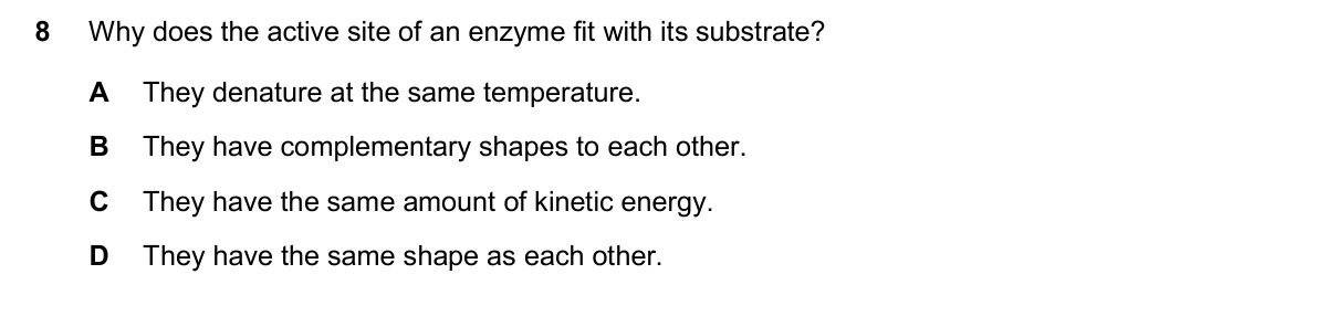 Question 8, November 2025, 0610 Paper 12