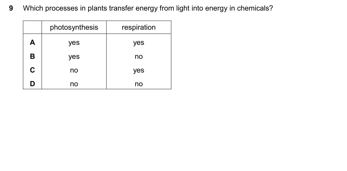 Question 9, November 2025, 0610 Paper 12