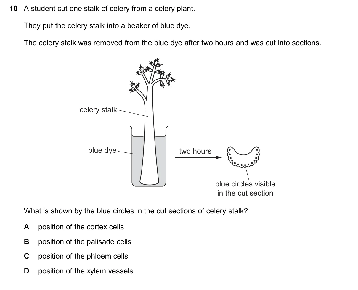 Question 10, November 2025, 0610 Paper 22
