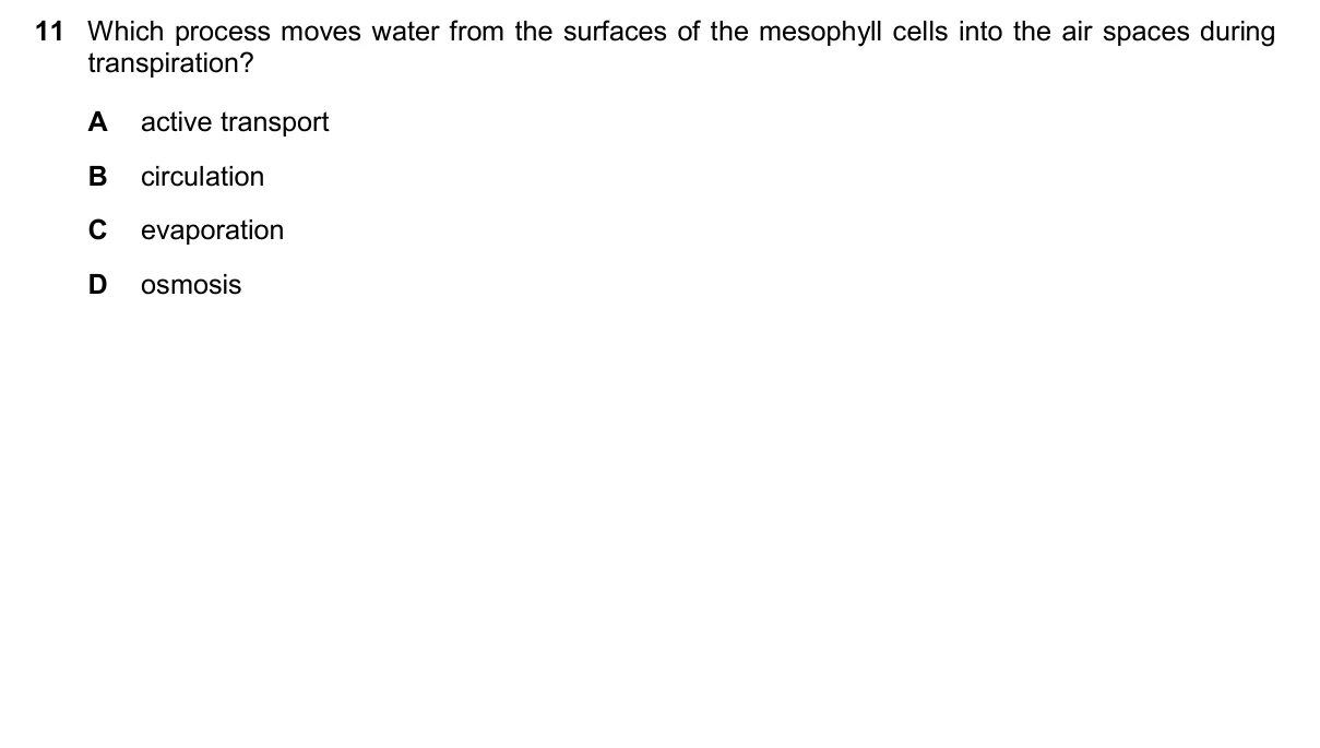 Question 11, November 2025, 0610 Paper 22