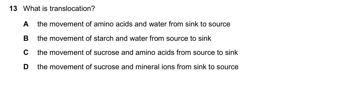 Question 13, November 2025, 0610 Paper 22