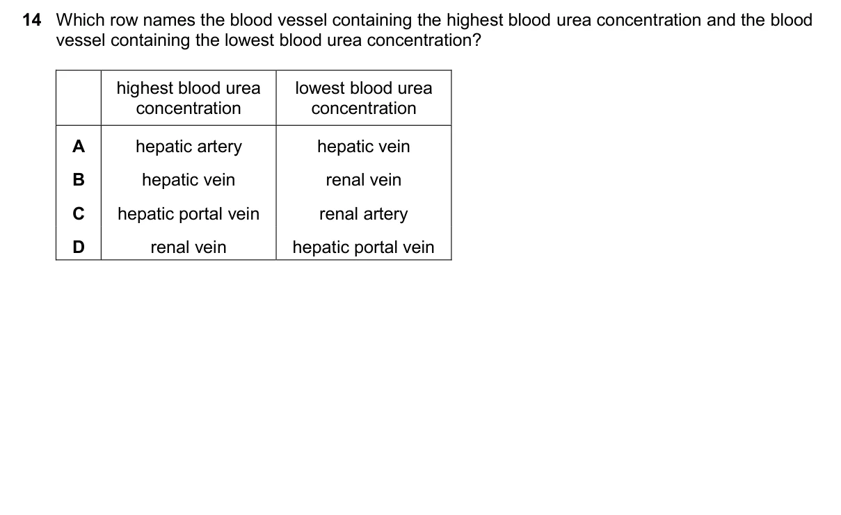 Question 14, November 2025, 0610 Paper 22