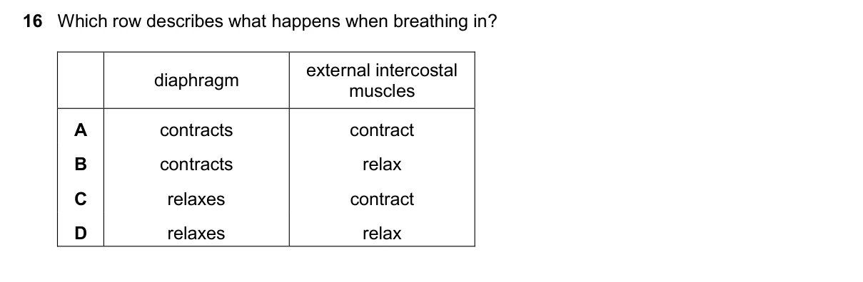 Question 16, November 2025, 0610 Paper 22
