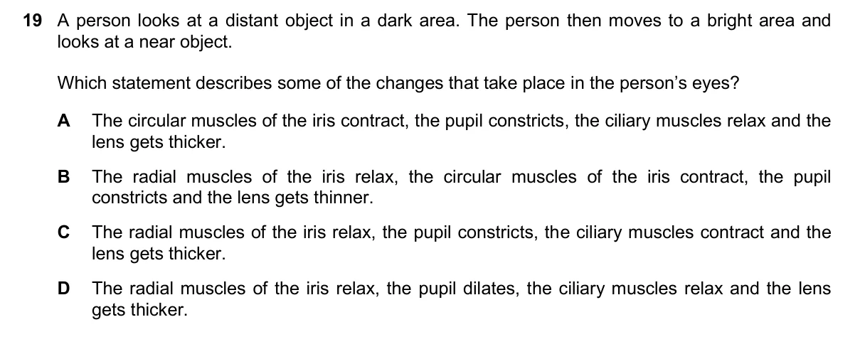 Question 19, November 2025, 0610 Paper 22