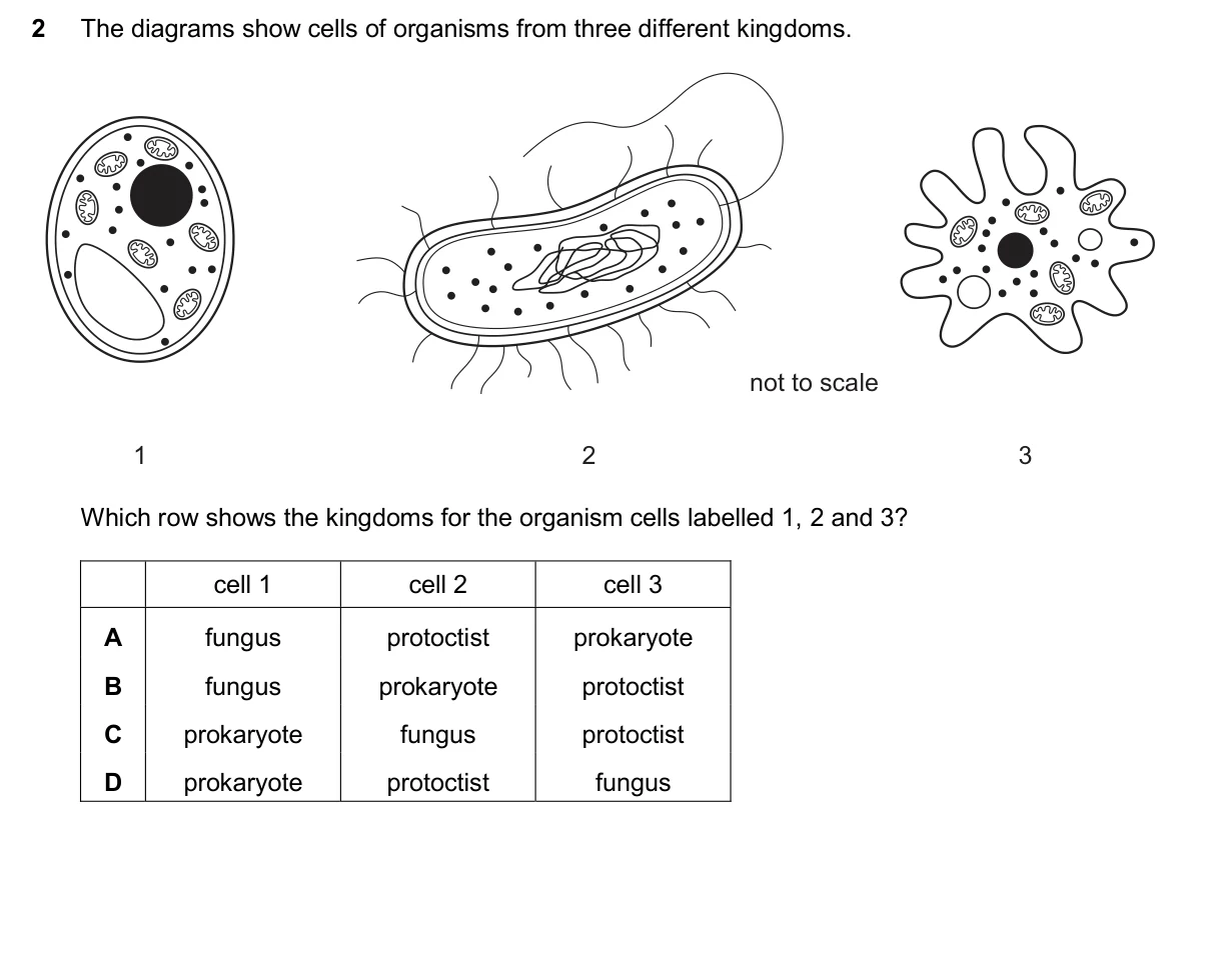 Question 2, November 2025, 0610 Paper 22