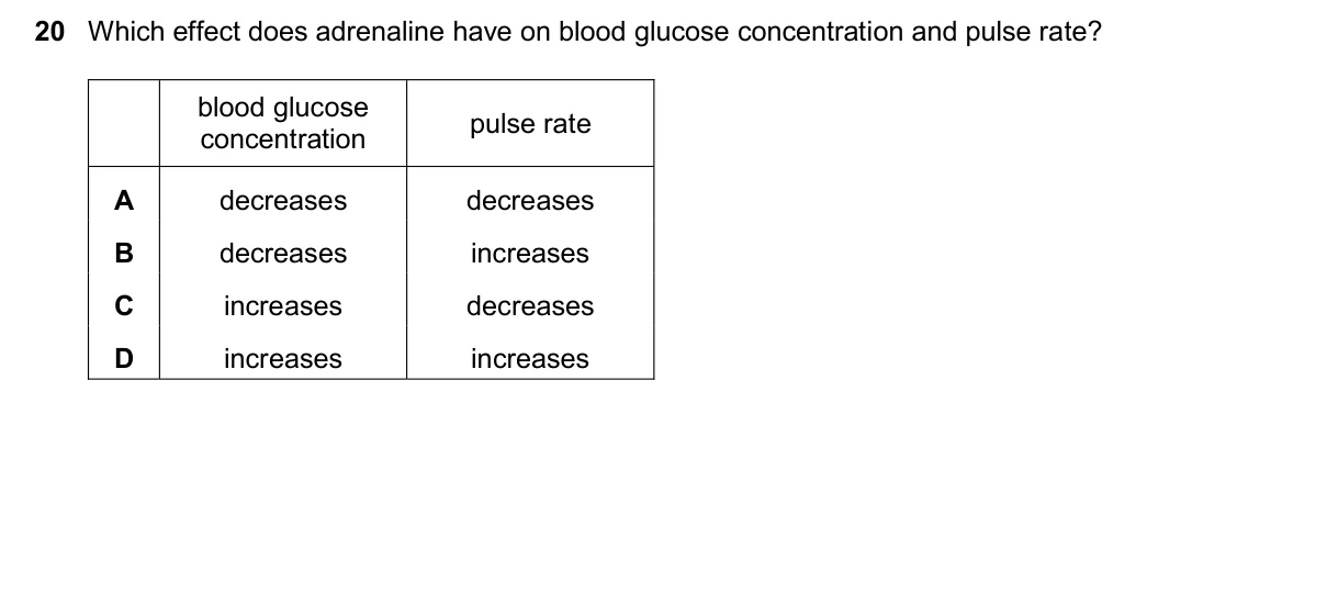 Question 20, November 2025, 0610 Paper 22