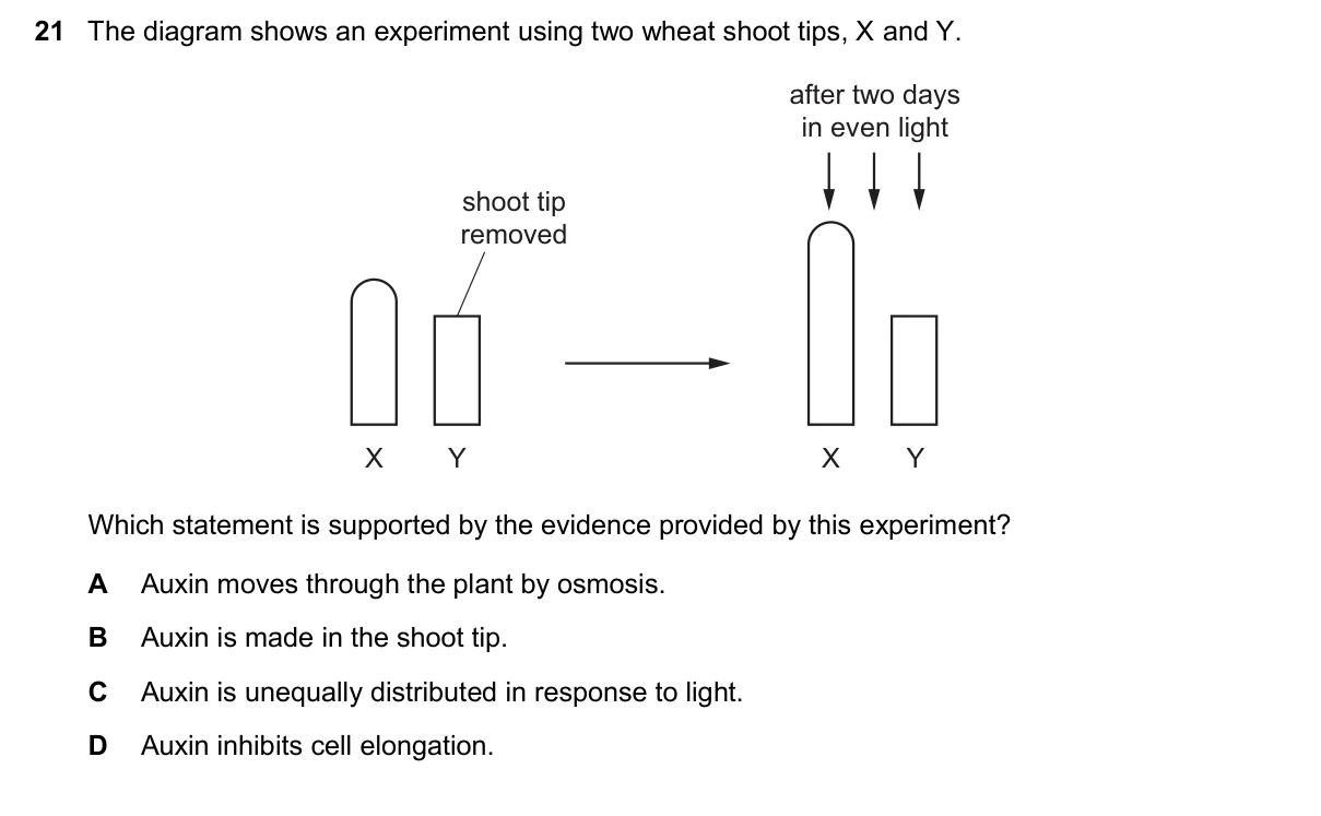 Question 21, November 2025, 0610 Paper 22