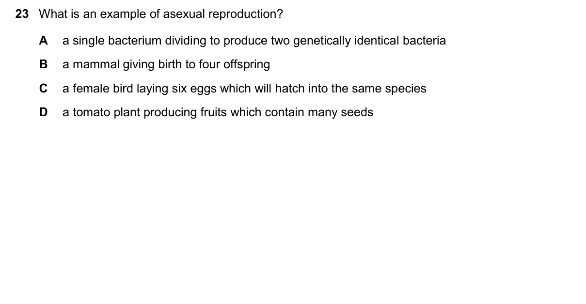 Question 23, November 2025, 0610 Paper 22