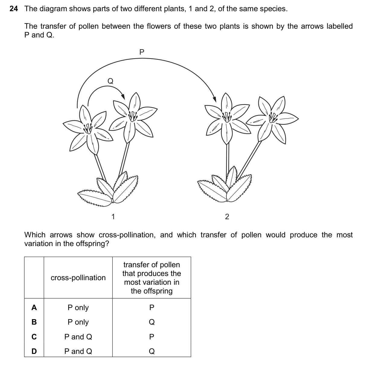 Question 24, November 2025, 0610 Paper 22