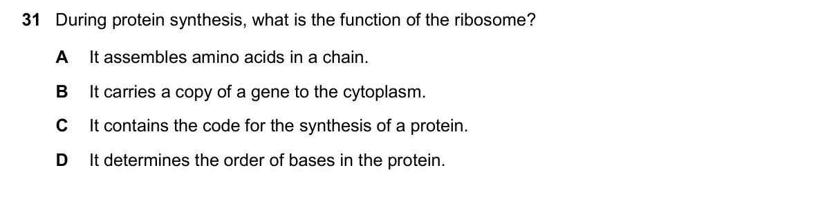 Question 31, November 2025, 0610 Paper 22