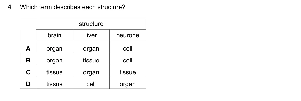 Question 4, November 2025, 0610 Paper 22