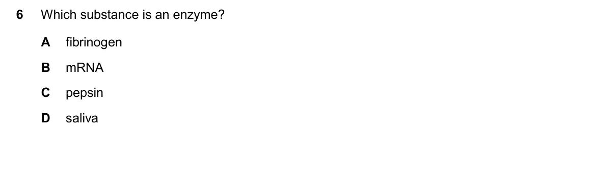 Question 6, November 2025, 0610 Paper 22