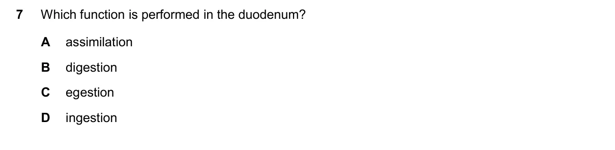 Question 7, November 2025, 0610 Paper 22