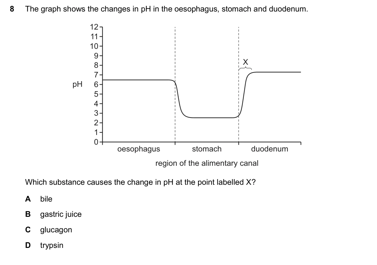 Question 8, November 2025, 0610 Paper 22