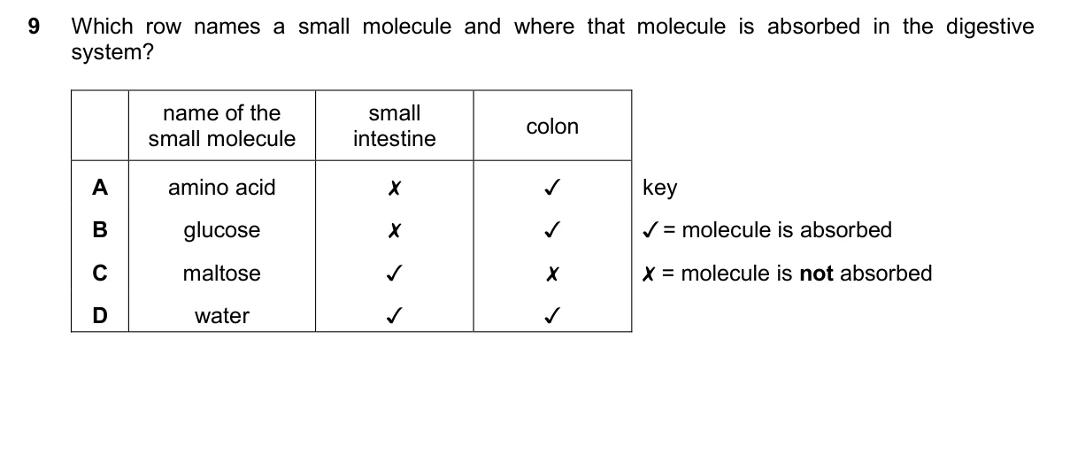Question 9, November 2025, 0610 Paper 22