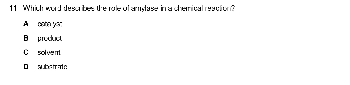 Question 11, November 2025, 0610 Paper 13