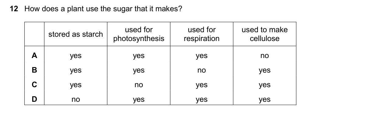 Question 12, November 2025, 0610 Paper 13