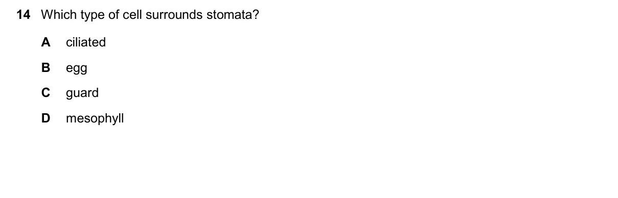 Question 14, November 2025, 0610 Paper 13