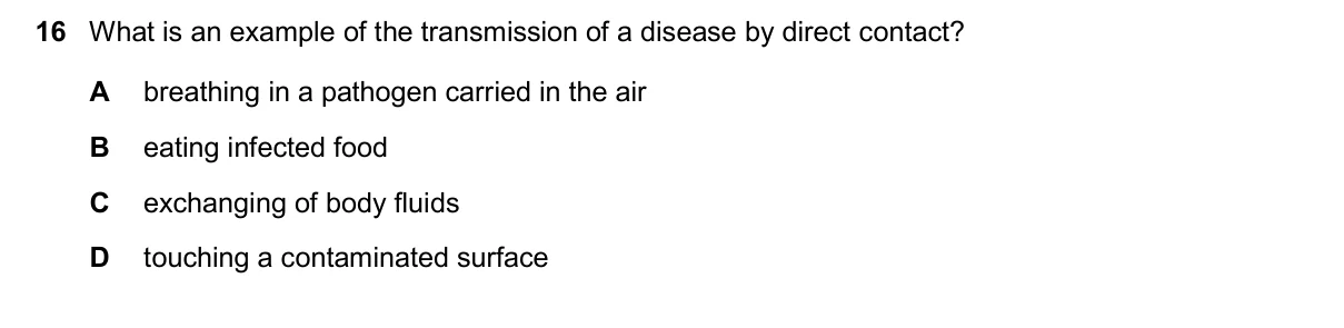 Question 16, November 2025, 0610 Paper 13