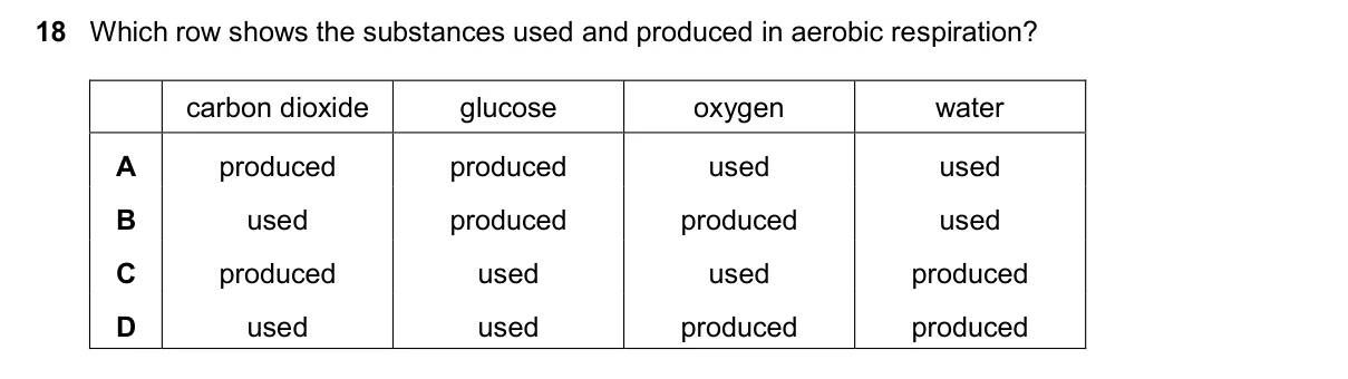 Question 18, November 2025, 0610 Paper 13