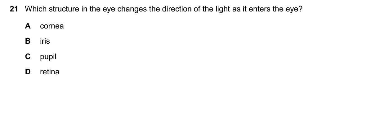 Question 21, November 2025, 0610 Paper 13
