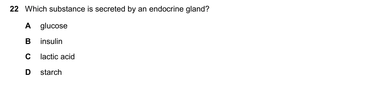 Question 22, November 2025, 0610 Paper 13