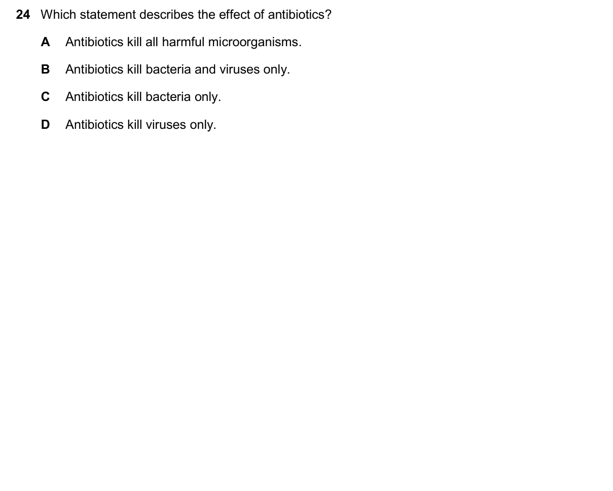 Question 24, November 2025, 0610 Paper 13