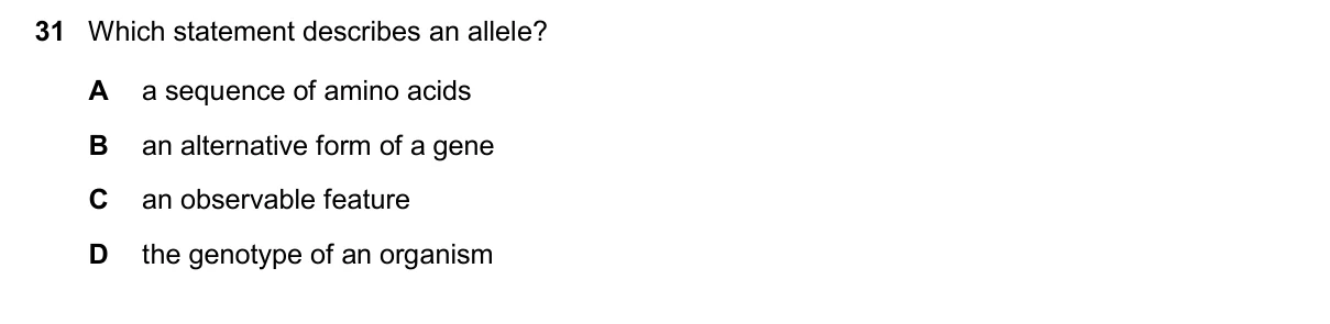 Question 31, November 2025, 0610 Paper 13