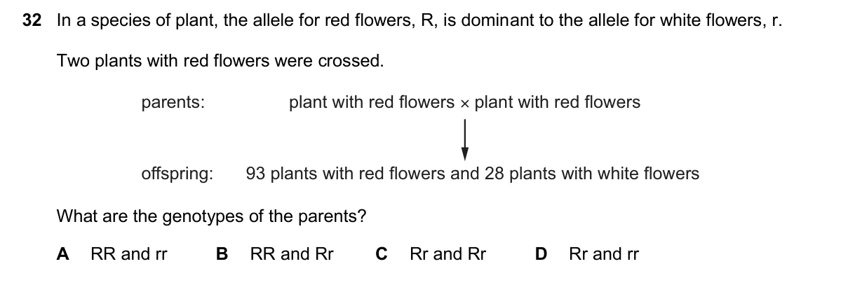 Question 32, November 2025, 0610 Paper 13