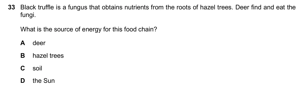 Question 33, November 2025, 0610 Paper 13