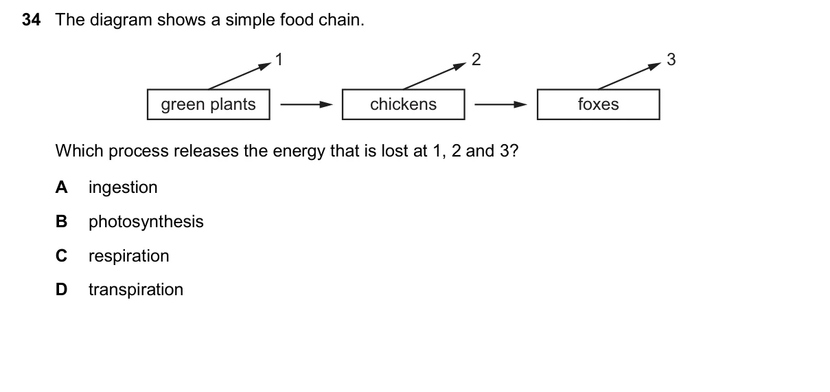 Question 34, November 2025, 0610 Paper 13