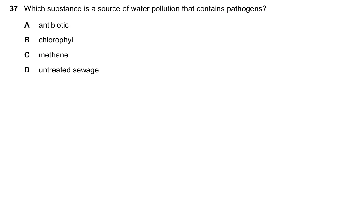 Question 37, November 2025, 0610 Paper 13
