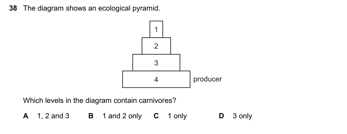 Question 38, November 2025, 0610 Paper 13