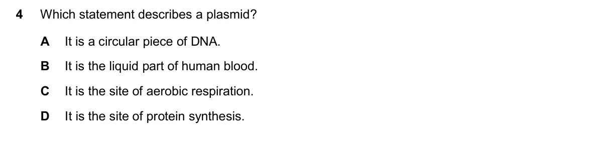 Question 4, November 2025, 0610 Paper 13