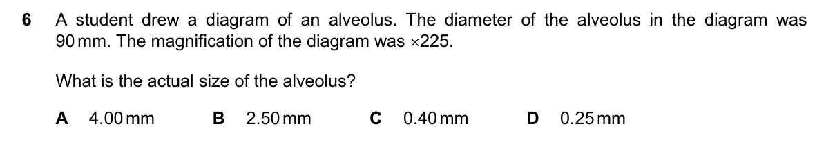 Question 6, November 2025, 0610 Paper 13