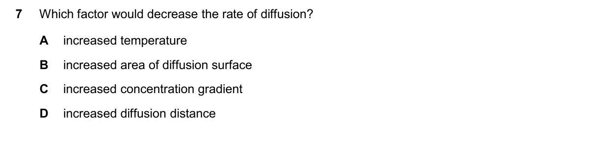 Question 7, November 2025, 0610 Paper 13