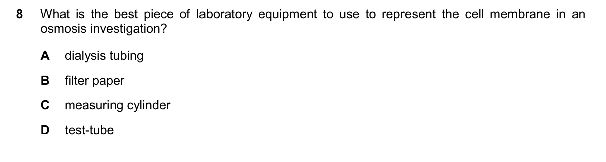 Question 8, November 2025, 0610 Paper 13