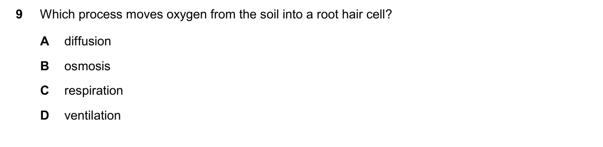 Question 9, November 2025, 0610 Paper 13