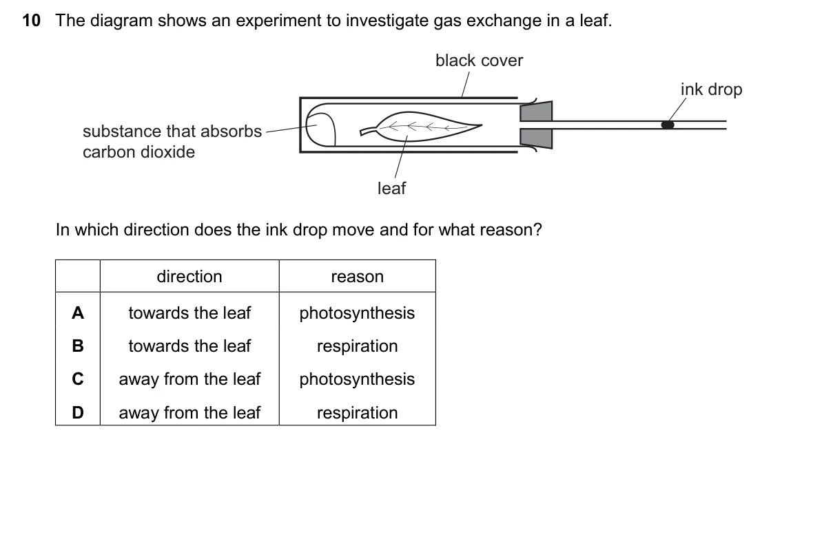 Question 10, November 2025, 0610 Paper 23