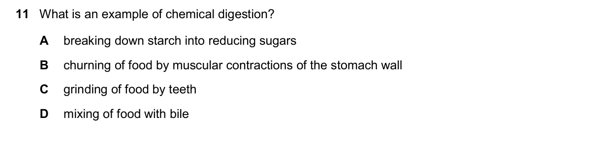 Question 11, November 2025, 0610 Paper 23