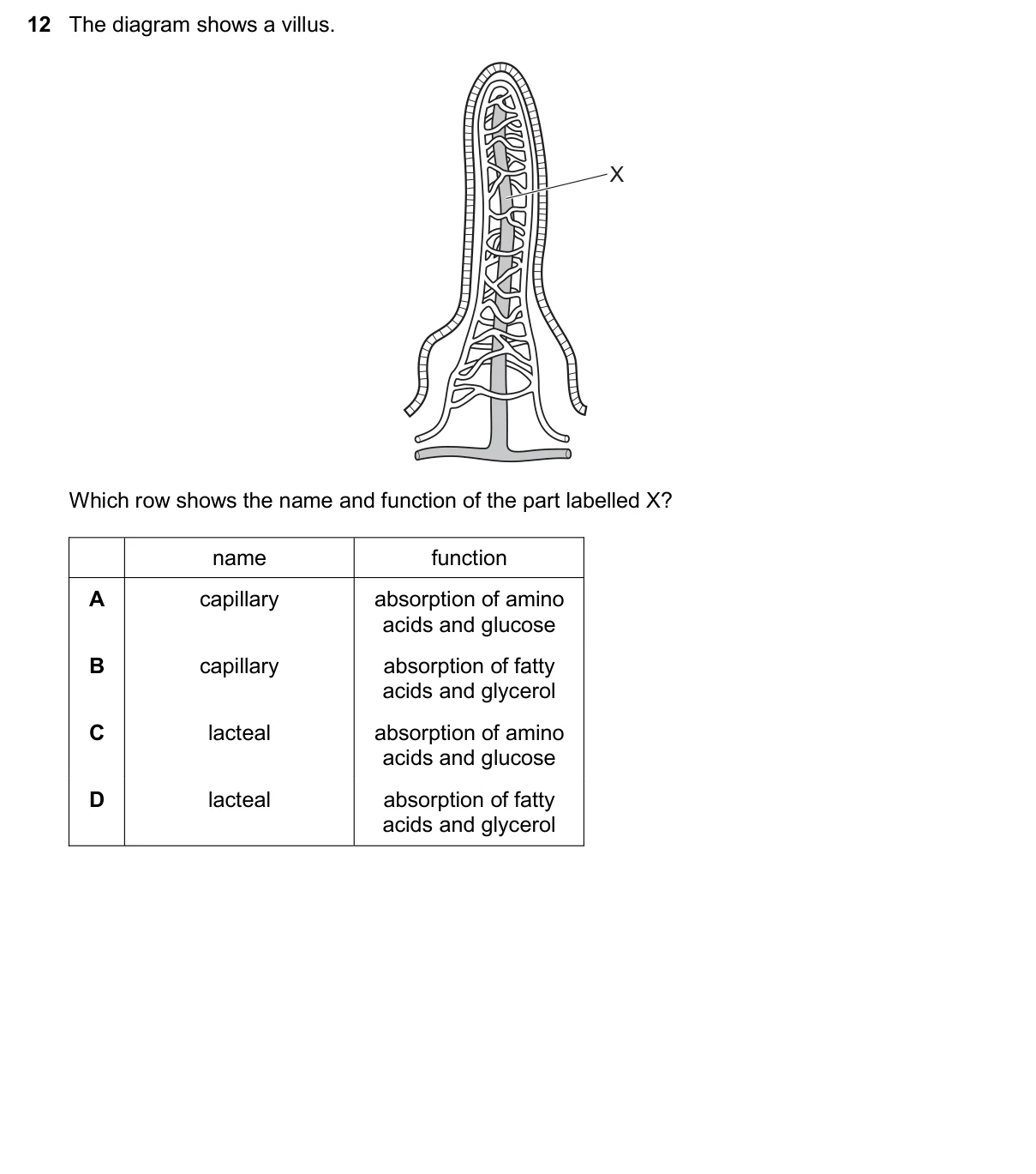 Question 12, November 2025, 0610 Paper 23