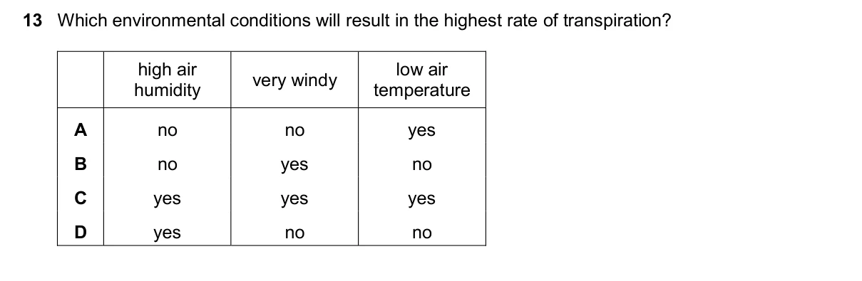 Question 13, November 2025, 0610 Paper 23