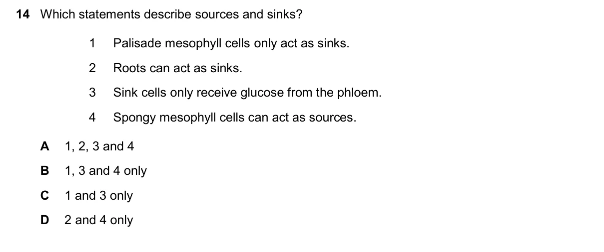 Question 14, November 2025, 0610 Paper 23