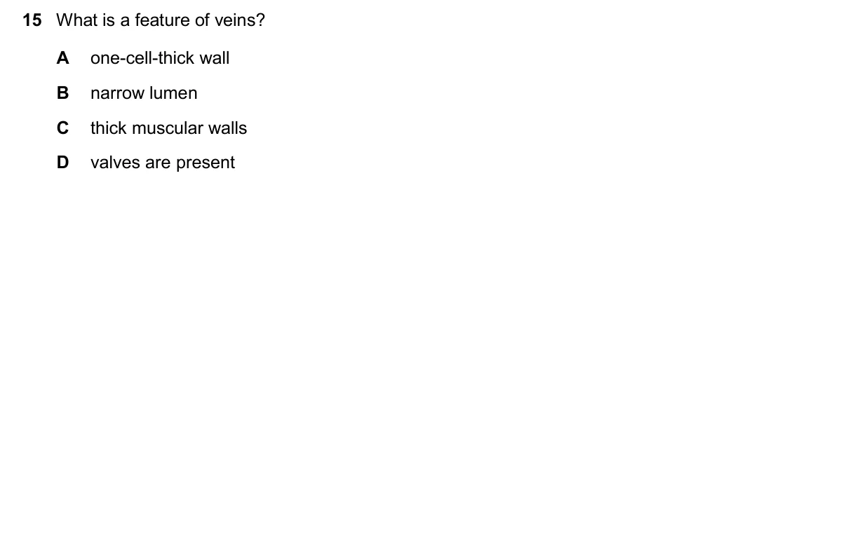 Question 15, November 2025, 0610 Paper 23