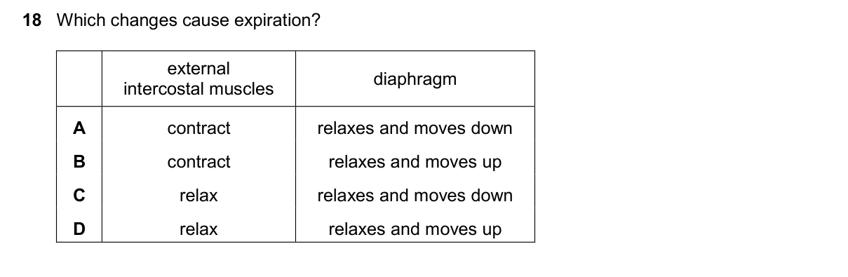 Question 18, November 2025, 0610 Paper 23
