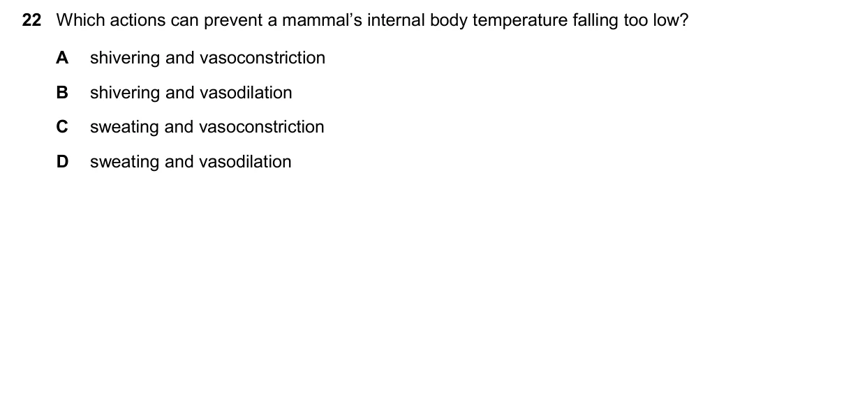 Question 22, November 2025, 0610 Paper 23