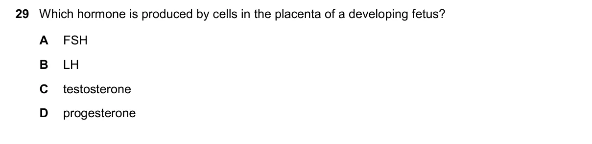 Question 29, November 2025, 0610 Paper 23