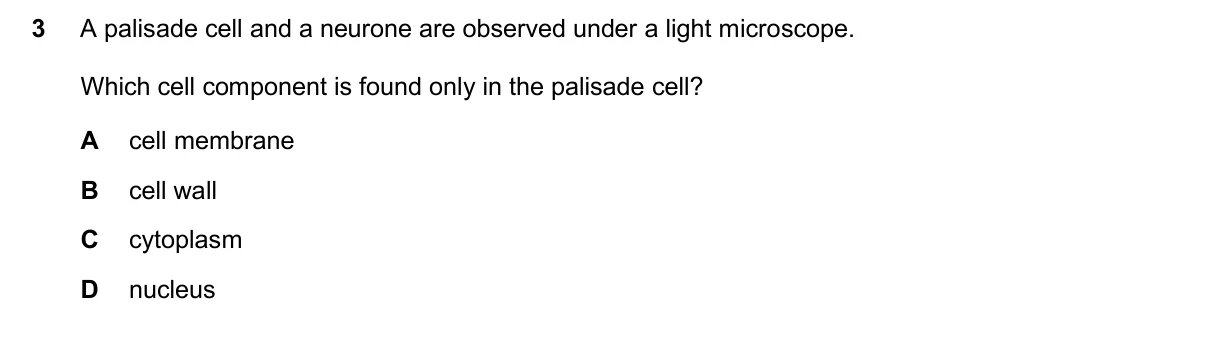Question 3, November 2025, 0610 Paper 23